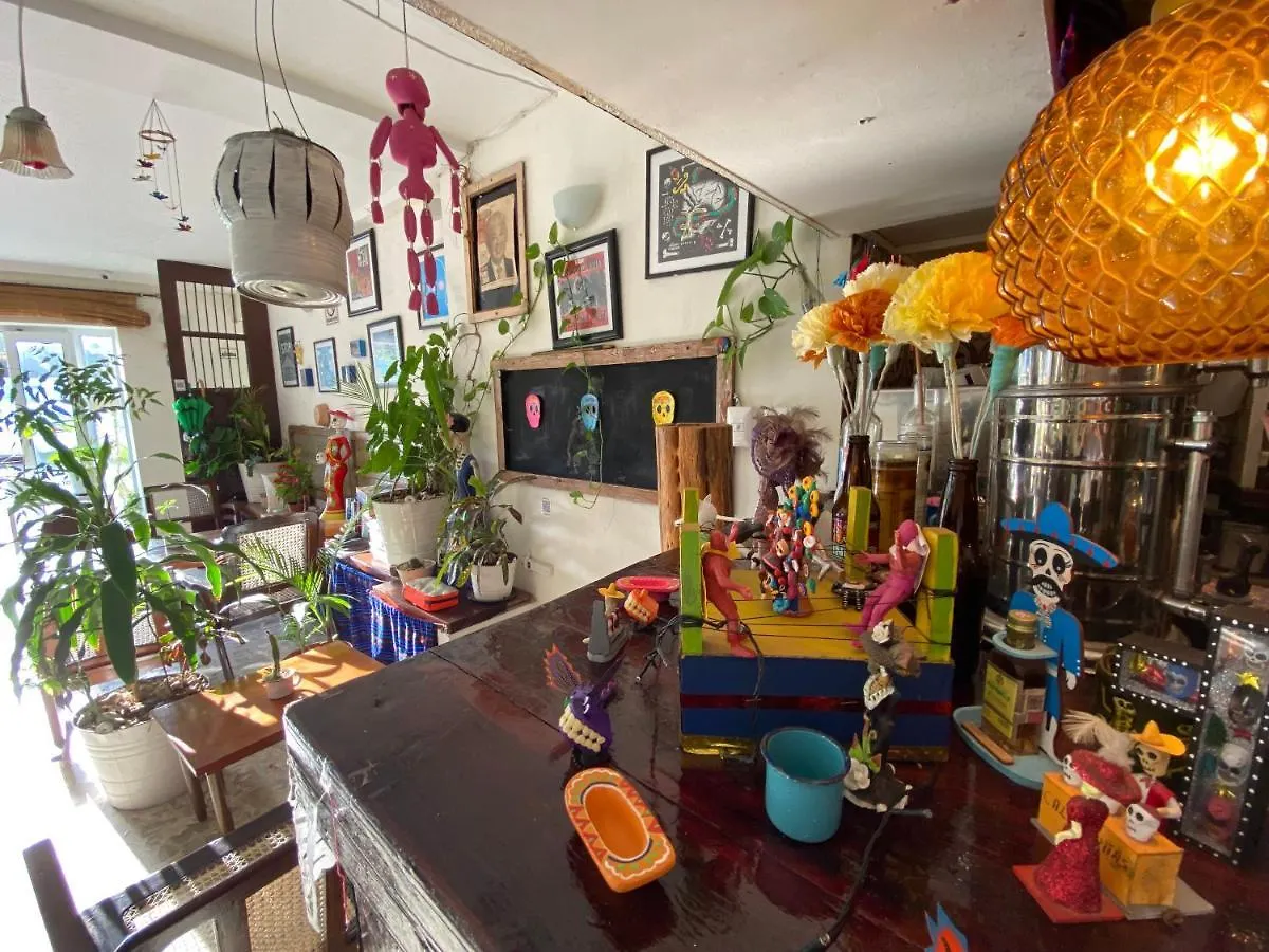 Hotel La Piazzetta Mérida México