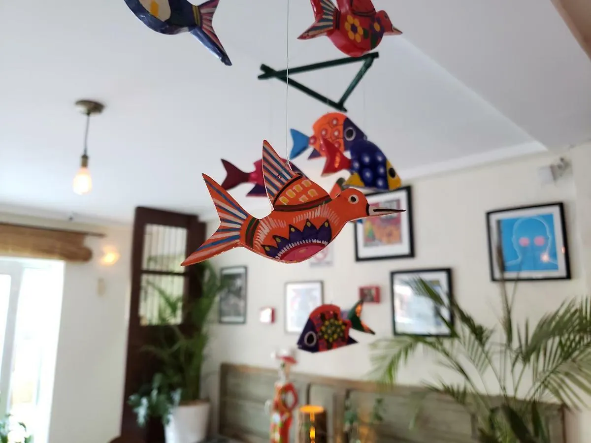 Hotel La Piazzetta Mérida Mexiko